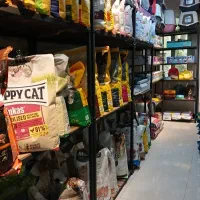 پت شاپ پت فایو