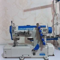 میاندوز نو جگوار