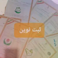 ثبت برند، ثبت شرکت ،تغییرات|خدمات مالی، حسابداری، بیمه|مشهد, امام خمینی|دیوار