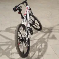 دوچرخه رینگ اسپرت|دوچرخه، اسکیت، اسکوتر|خرم بید, |دیوار