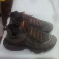 کفش، کیف، کلاه درحدنو(قیمت مناسب)|کیف، کفش، کمربند|گرگان, |دیوار