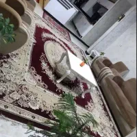 سوییت اتاق خانه منزل اجاره ای باپارکینگ در جوانرود|اجارهٔ کوتاه‌مدت آپارتمان و سوئیت|جوانرود, |دیوار