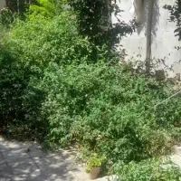 سوئیت در خانه ویلایی|اجارهٔ خانه و ویلا|شیراز, لب آب|دیوار