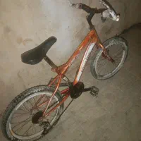 دوچرخه 20 حرفه‌ای دنده دار