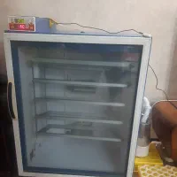 دستگاه جوجه کشی بلدرچین دماوند ۴۲۰ تایی
