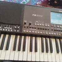 ارگ پی ا 600|پیانو، کیبورد، آکاردئون|فسا, |دیوار