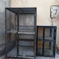 قفس جفتگاه|لوازم جانبی حیوانات|کرمان, |دیوار