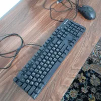 موس و کیبورد|قطعات و لوازم جانبی رایانه|قم, کلهری|دیوار