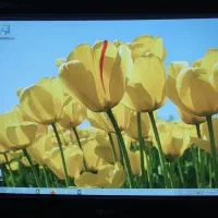 مانیتور فلترون ال جی