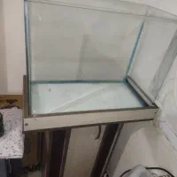 اکواریوم شیشه خم با میز و شن و سنگ گیاه زیر قیمت