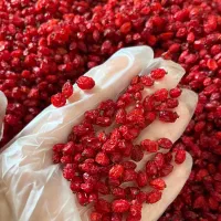 زرشک پفکی قائن