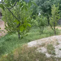 قطعات-500-متری-واقع-باغستان