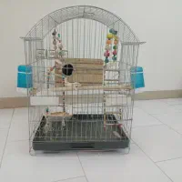 قفس عروس هلندی