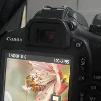 دوربین عکاسی و فیلم برداری حرفه ای (لنز 18.55)|دوربین عکاسی و فیلمبرداری|شهریار, شهریار|دیوار