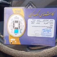 پژو 405نقره ای