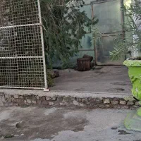 فروش گلخانه|فروشگاه و مغازه|مینودشت, |دیوار