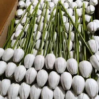 نیازمند ادمین