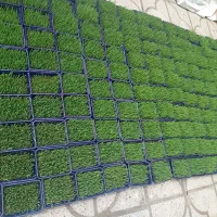 سبز|گل و گیاه طبیعی|شیراز, مسلم|دیوار