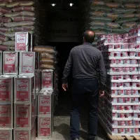پخش عمده موادغذایی و بهداشتی ، تحویل رایگان|خوردنی و آشامیدنی|مشهد, هنرستان|دیوار