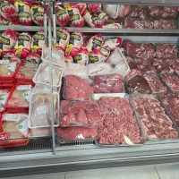 استخدام نیروی با سابقه در لاین پروتئینی