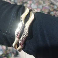 النگو کلکته