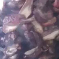 بریده مضافتی موجود