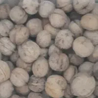 گردو فروشی پر زرد الو لواشکی کسی میخواد