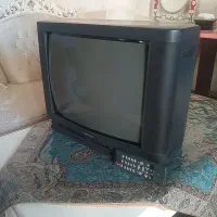 تلویزیون
