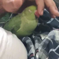 ملنگو دستی سخنگو