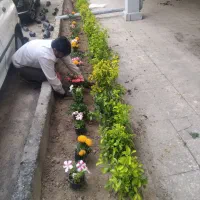 باغبانی وهرسکاری سرویس به کل تهران وحومه