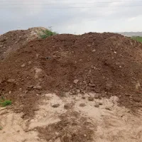 با گوسفندی وگاوی ومرغی