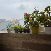 آپارتمان ۱۰۰ متر سند / معلم استانداری / ۹ سال ساخت|فروش آپارتمان|رشت, معلم|دیوار