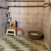 اجاره منزل مسکونی|اجارهٔ آپارتمان|قائم‌شهر, |دیوار