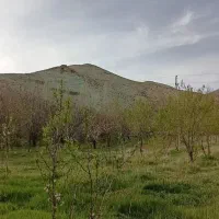 انجام پاورپوینت و پی دی اف