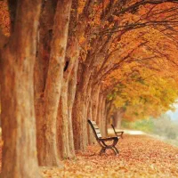 سرگرمی کاری