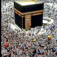 اعزام دو عدد فیش اولویت 462