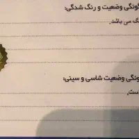 کوییک اتوماتیک فول پلاس|خودرو سواری و وانت|رشت, چله خانه|دیوار