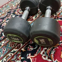 دمبل|تجهیزات ورزشی|کاشان, زیتون|دیوار