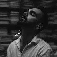 استخدام ادمین