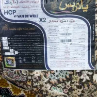 فرش نو|فرش|پلدختر, |دیوار