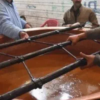 پودر جوانه گندم اصیل و سنتی|خوردنی و آشامیدنی|تهران, ترمینال جنوب|دیوار