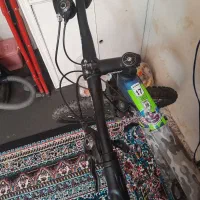 دوچرخه|دوچرخه، اسکیت، اسکوتر|فولادشهر, B1|دیوار