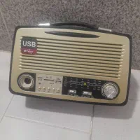 رادیو اسپیکر فلش خور