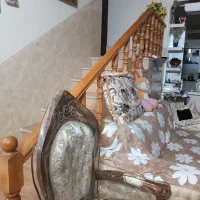 اجاره خانه ویلایی ۱۵۵ متری ۳ خوابه در تندگویان|اجارهٔ خانه و ویلا|شیراز, تندگویان|دیوار