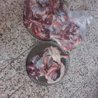 قصاب سیار وخوش قول|خدمات پذیرایی، مراسم|اندیمشک, |دیوار