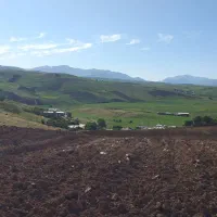 فروش-20000-هزار-زمین-کشاورزی