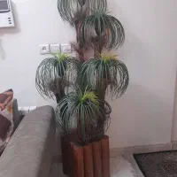 گلدان نخل مصنوعی با گلدان چوبی شیک