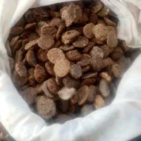 قروت گوسفندی امسالی|خوردنی و آشامیدنی|سربیشه, |دیوار