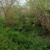 یک-واحد-اجاره-ای