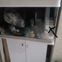 آکواریوم